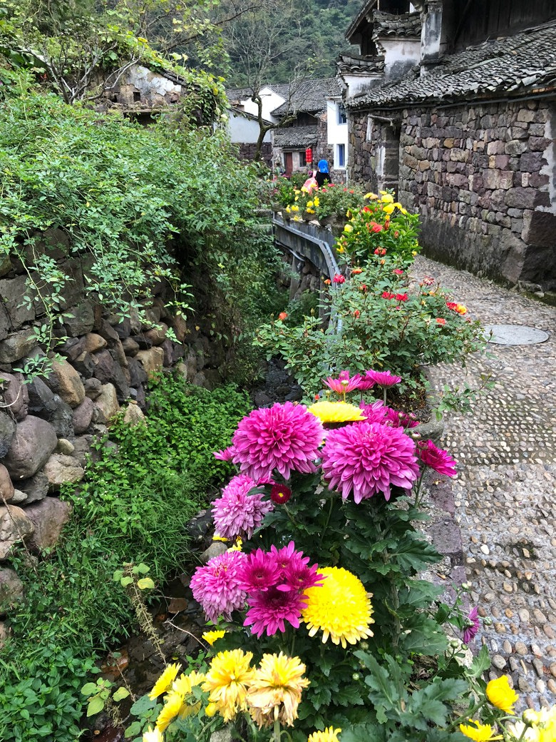 ����ɽ̽��