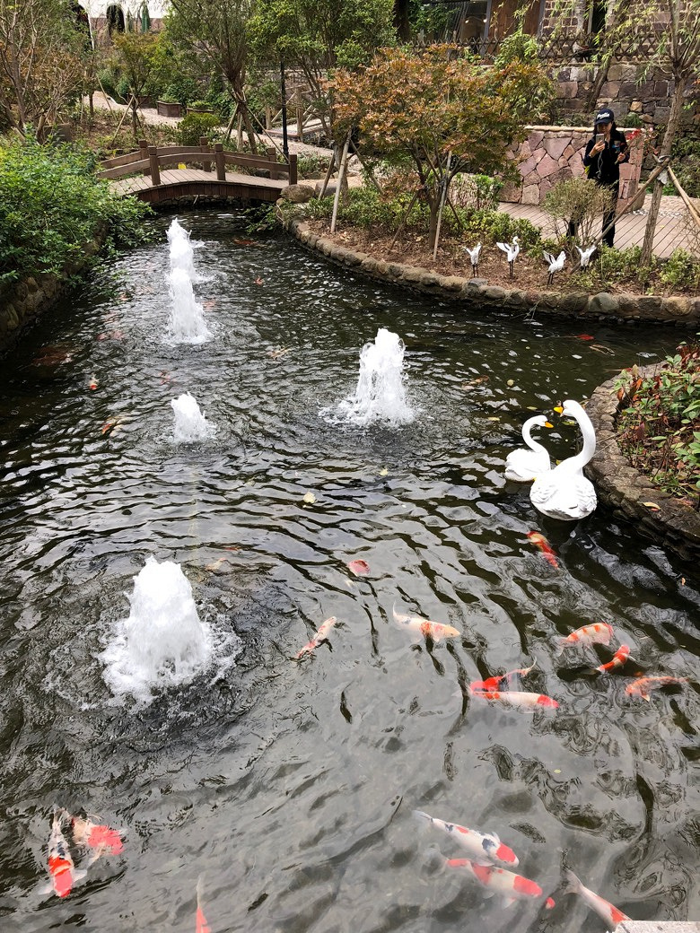 ����ɽ̽��