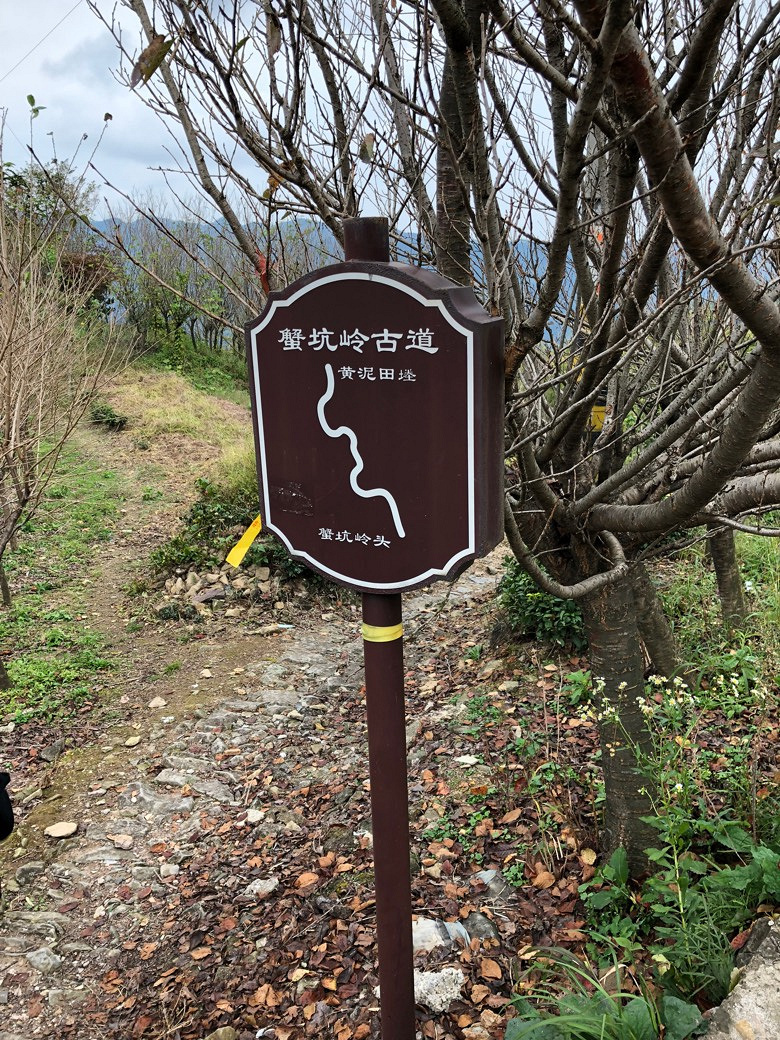 ����ɽ̽��