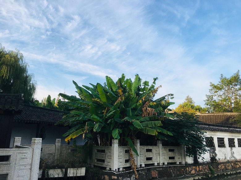 �����ļ���