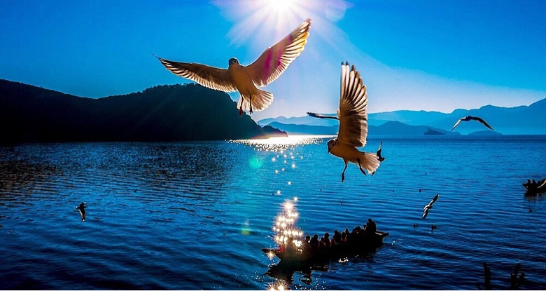 ����Լ�ϲ����ģ��