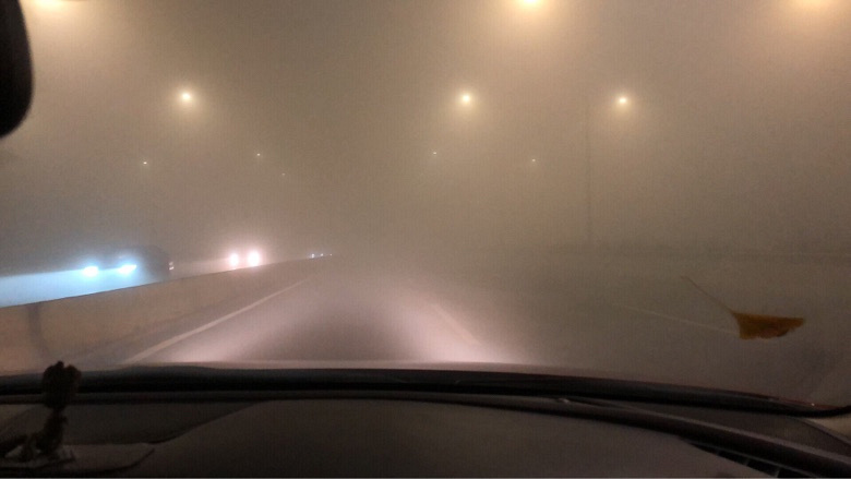 �����������������������