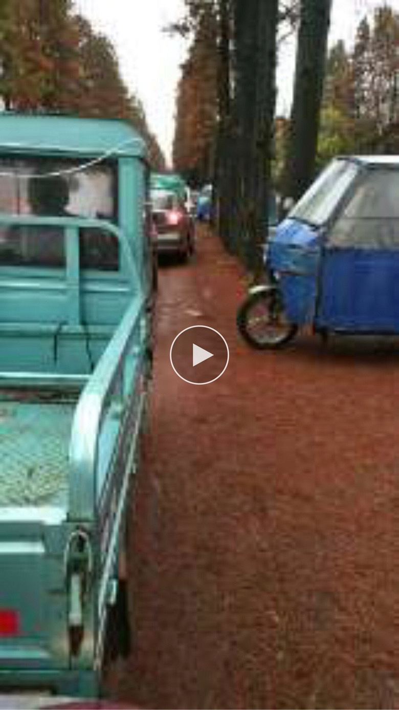 �������������