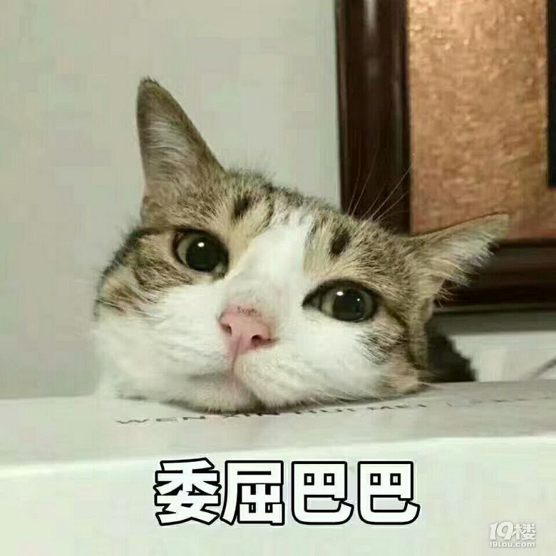 有个低情商的大猪蹄子对象,是什么样的体验