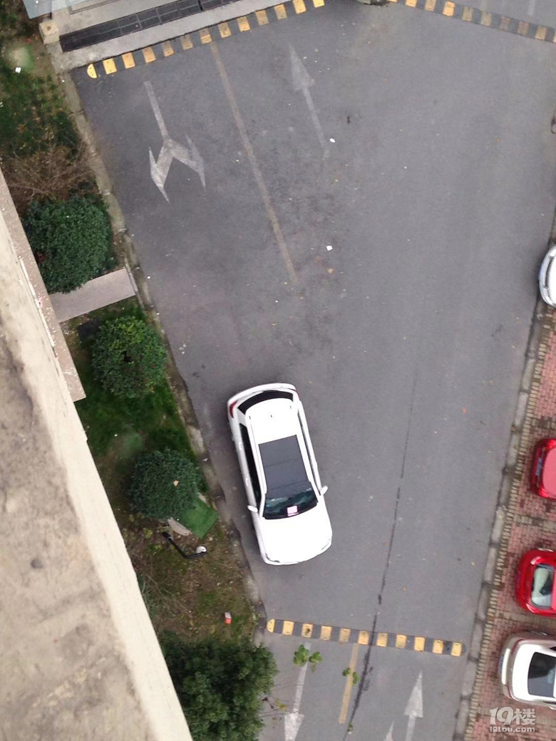 是有钱任性?还是不明白什么是素质?