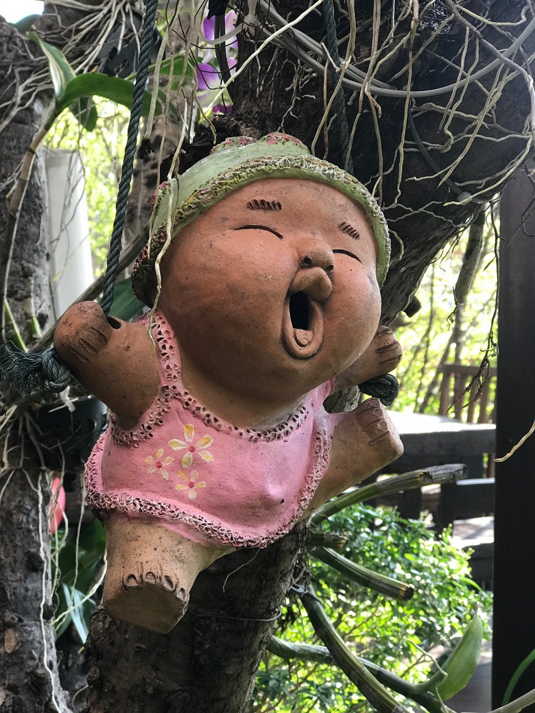 听说嘉兴又下雪我在泰国晒成狗