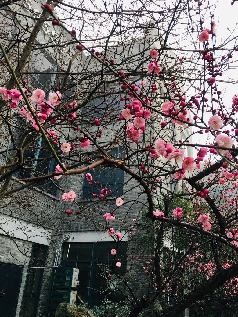 �������÷�峿��