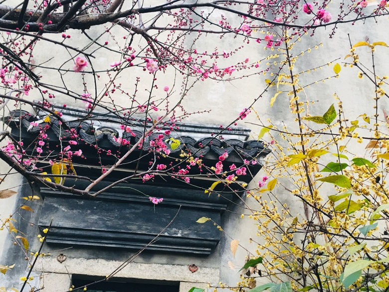 �������÷�峿��