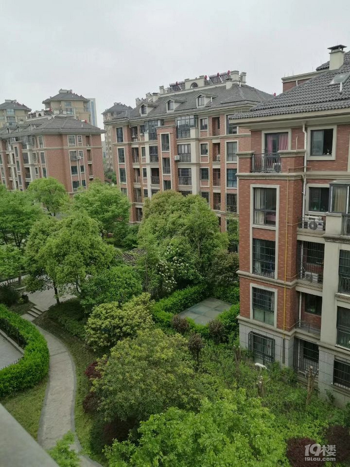 巨匠义圣名苑-房屋出租-嘉兴19楼