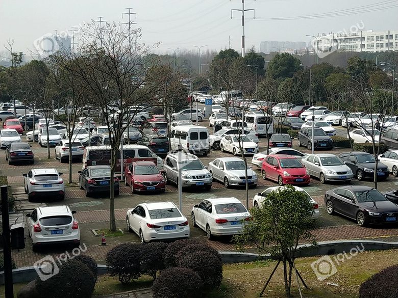 【感恩!】成交近2300单!总成交额8000万!19楼采购大会圆满落幕