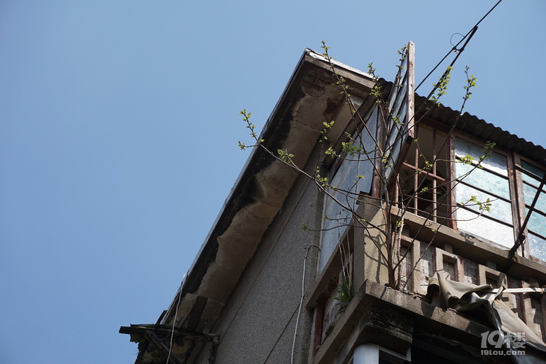 浊酒一杯家万里