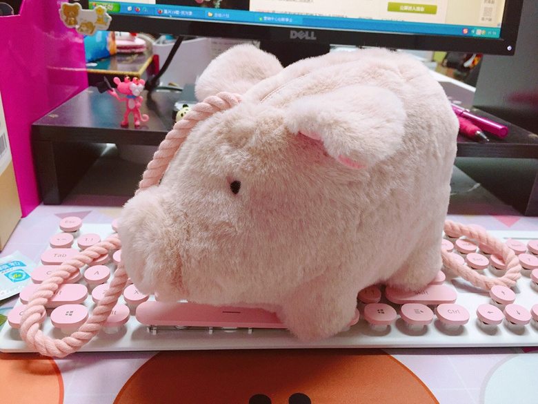 ���ȣ�����ر��ķ�ɫС����