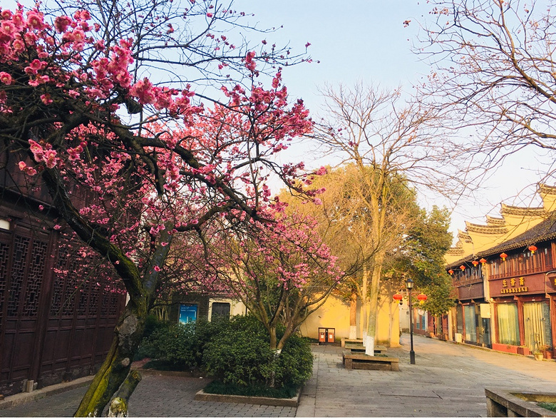 �����ļ���