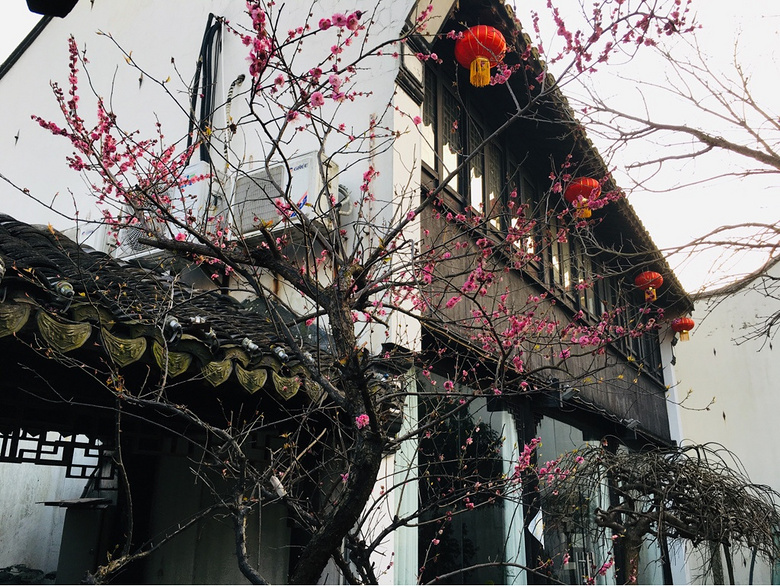 �����ļ���