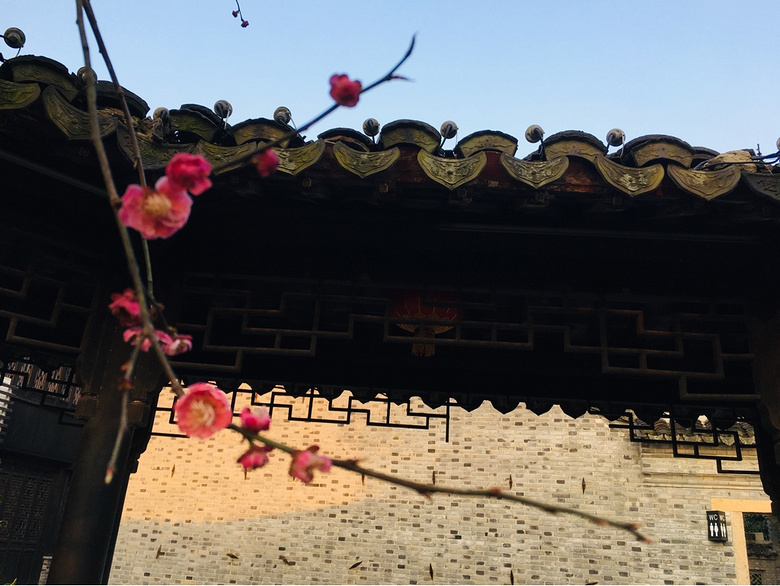 �����ļ���