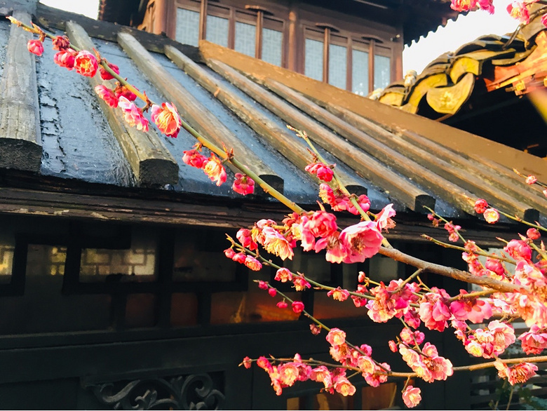 �����ļ���