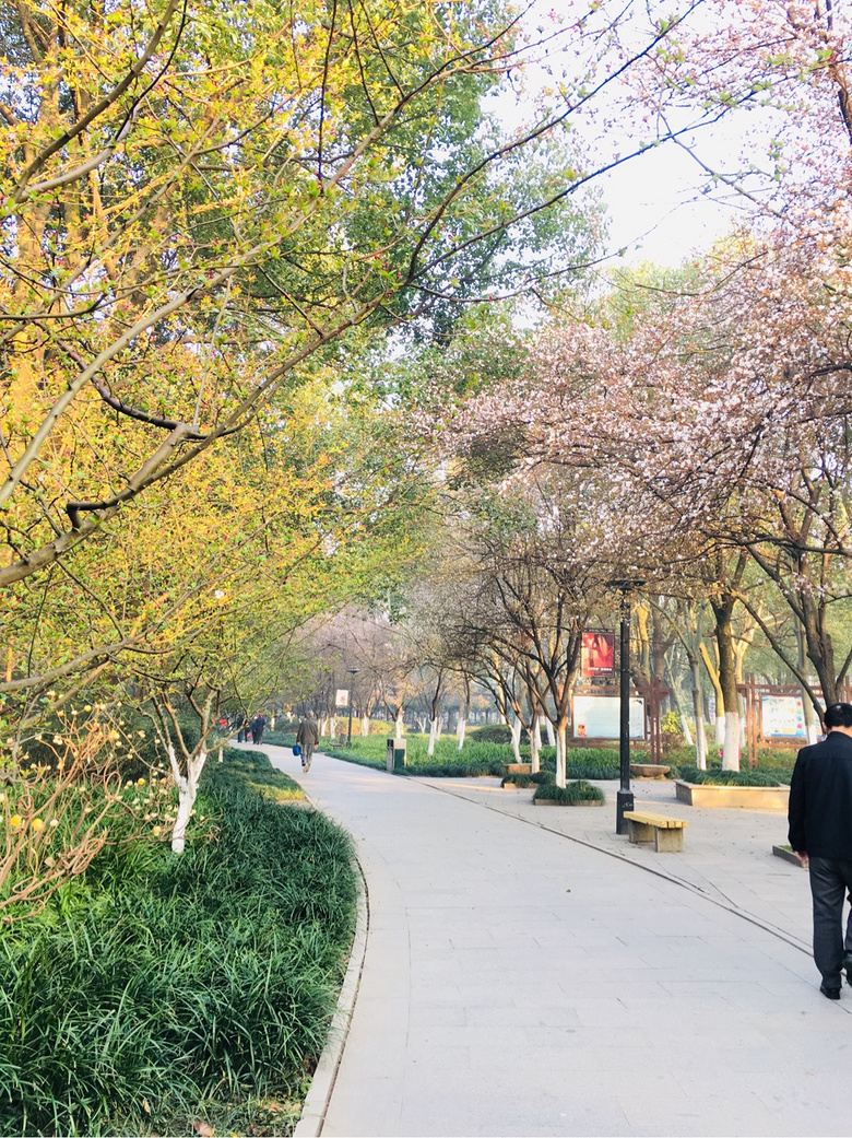 ��װ�Լ�������