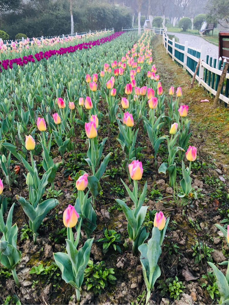 ��װ�Լ�������