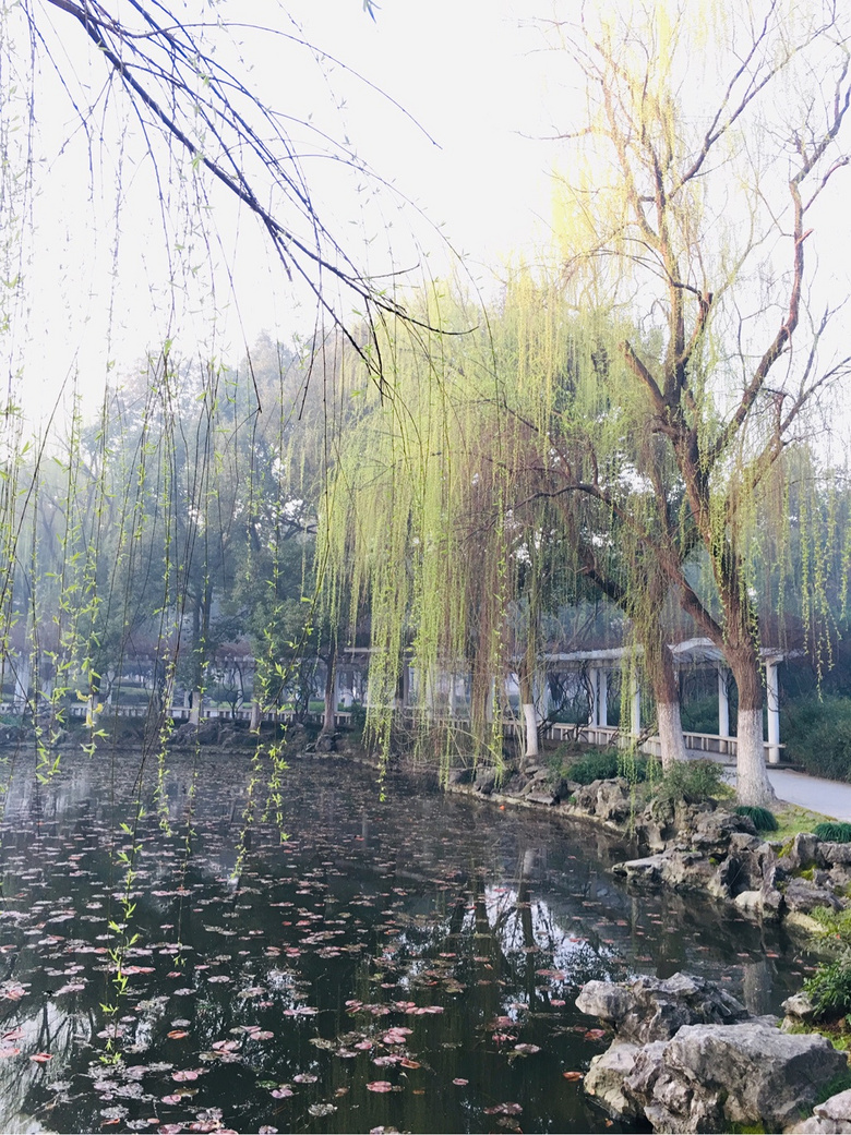 ��װ�Լ�������