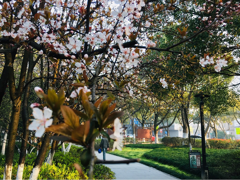 ��װ�Լ�������