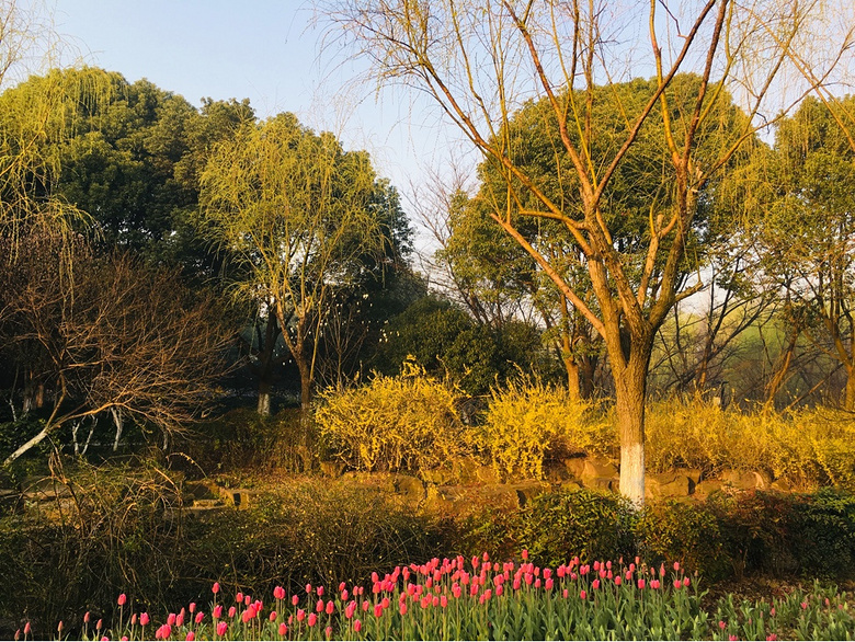 ��װ�Լ�������