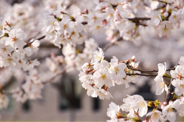 ����ʱ-ͬ��ӣ��