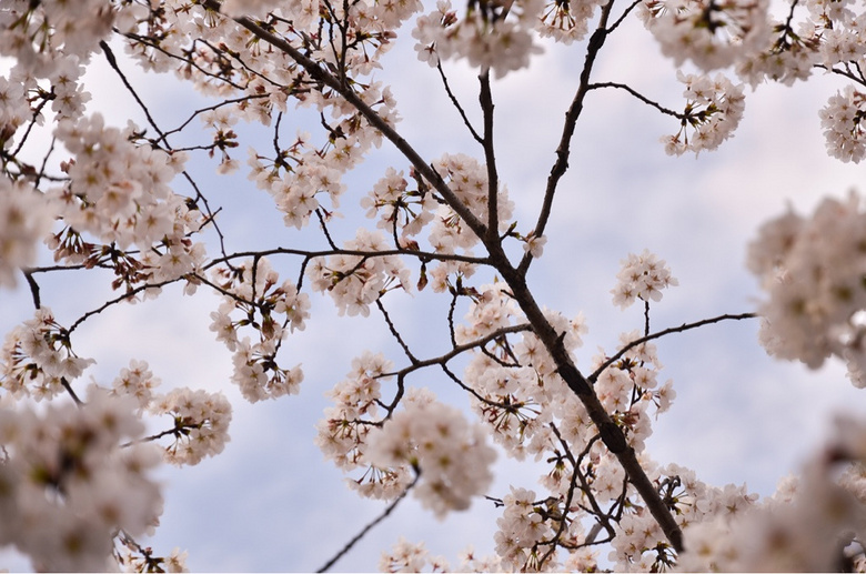 ����ʱ-ͬ��ӣ��