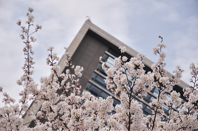 ����ʱ-ͬ��ӣ��