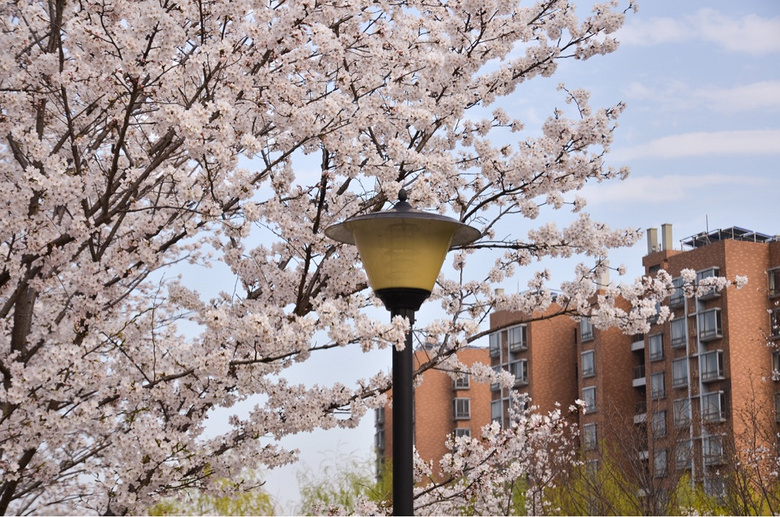 ����ʱ-ͬ��ӣ��