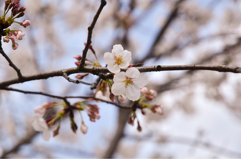 ����ʱ-ͬ��ӣ��