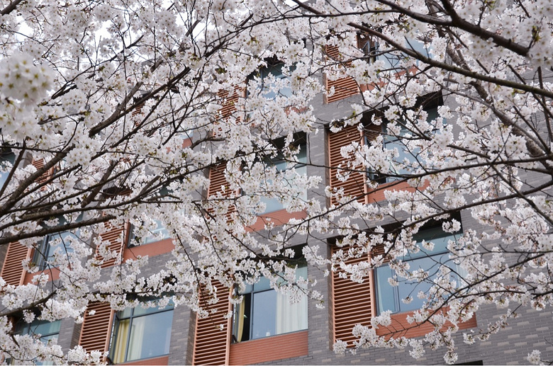 ����ʱ-ͬ��ӣ��