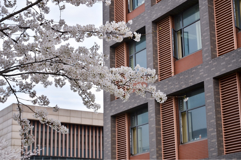 ����ʱ-ͬ��ӣ��