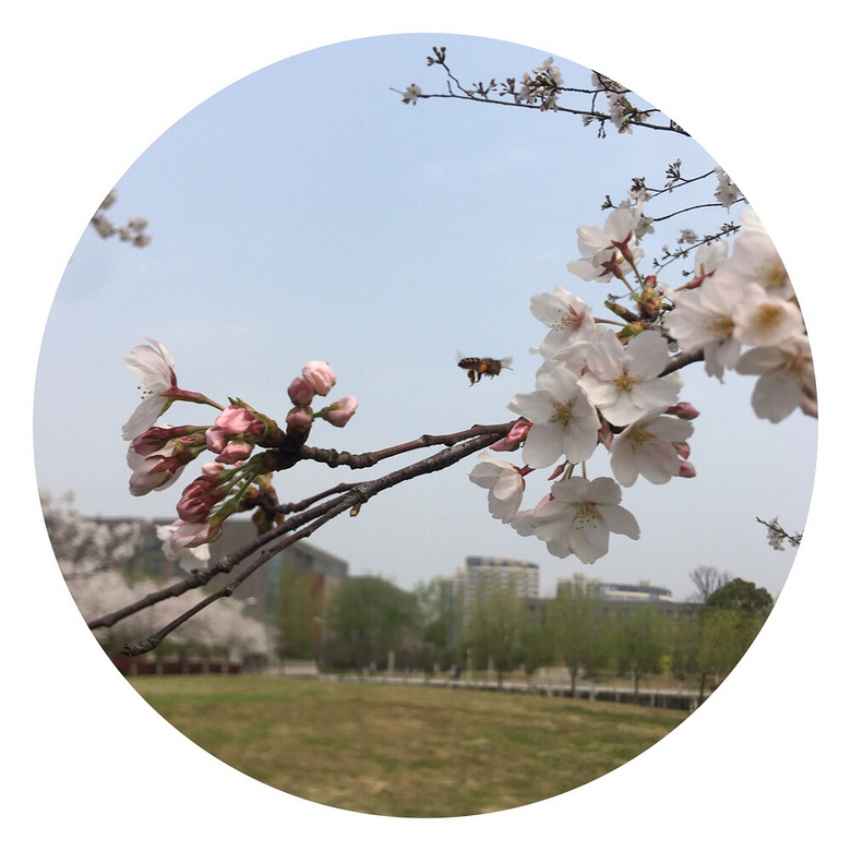 ��ǰ�ȵ�ͬ��ӣ����