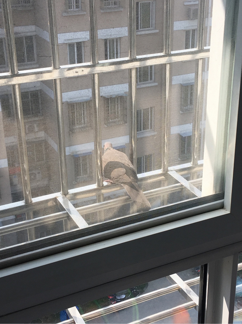 Ұ���ġ�����