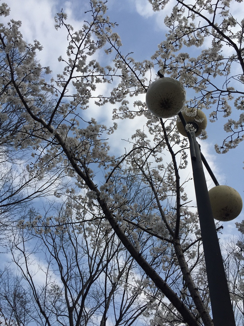 #�����Ĵ���#ӣ����