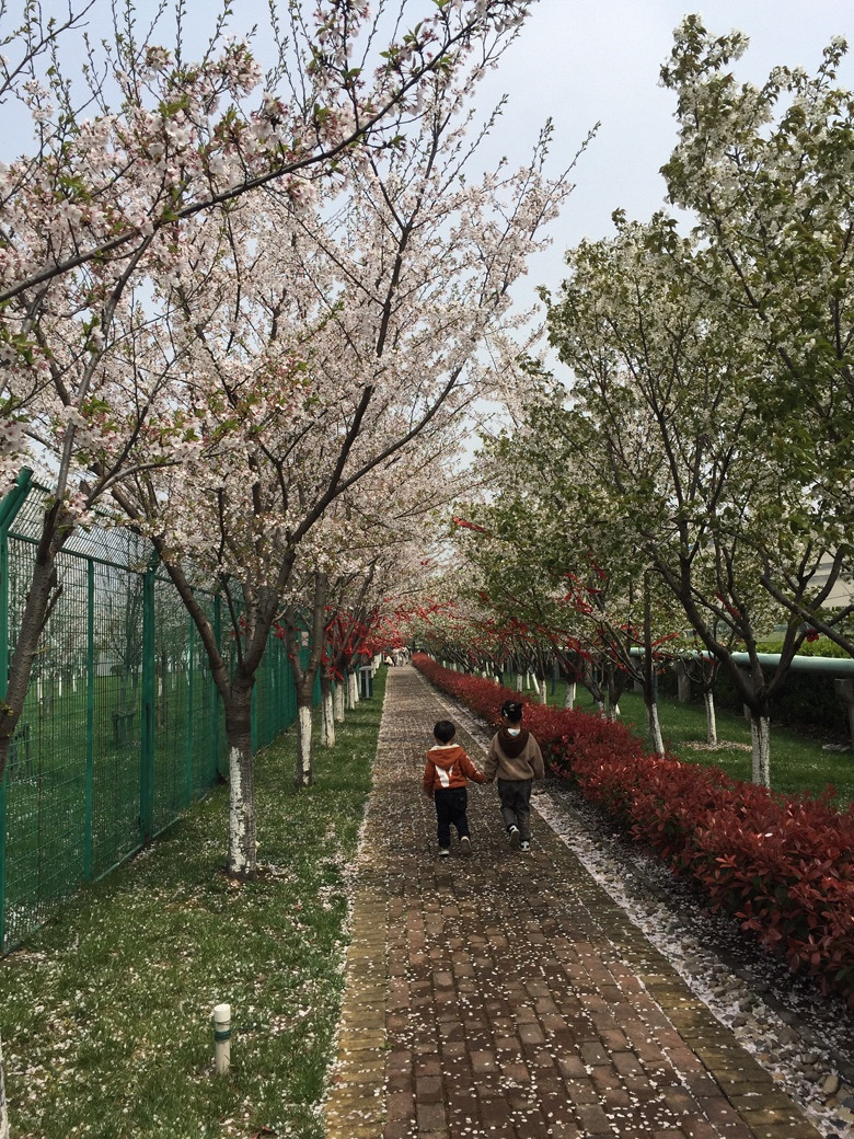 #�����Ĵ���#ӣ����