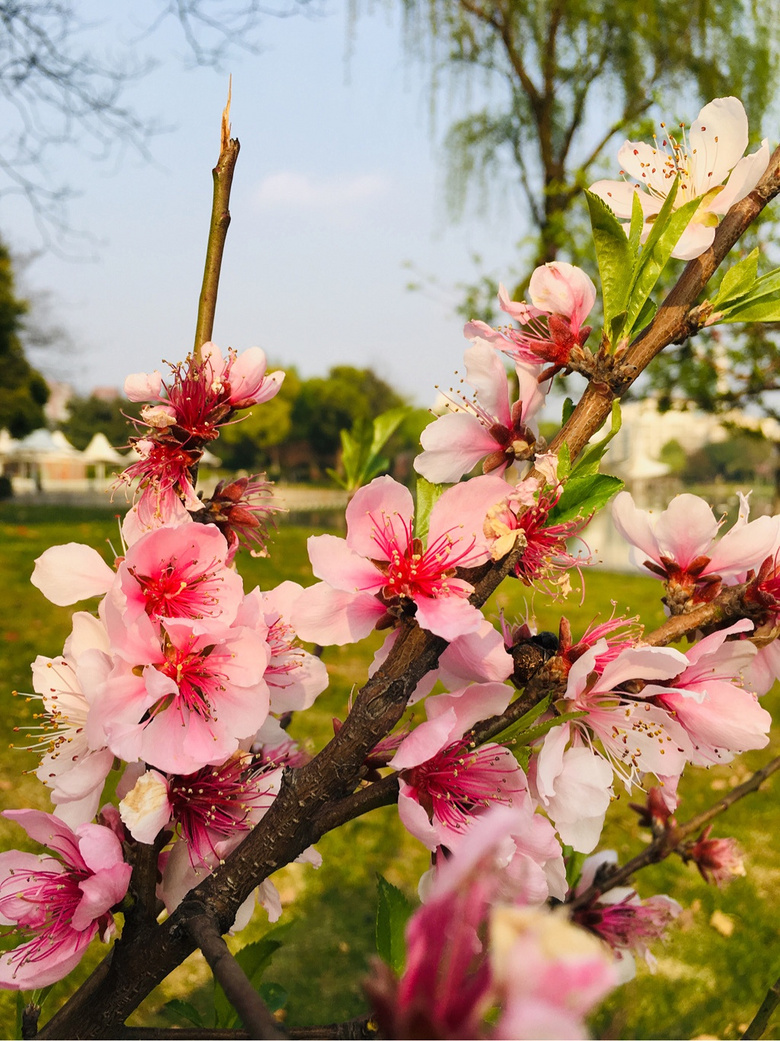 #����ɹ����#�Һ�����