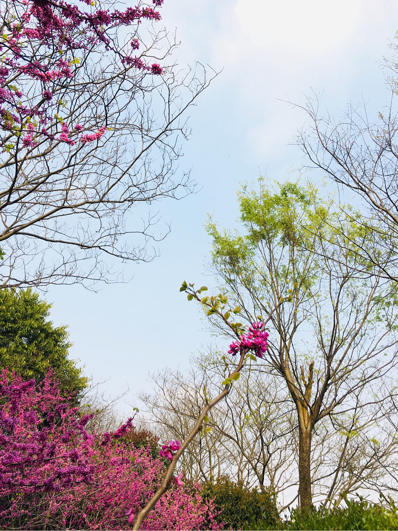 #����ɹ����#�Һ�����