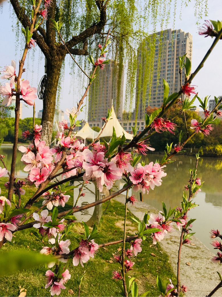 #����ɹ����#�Һ�����