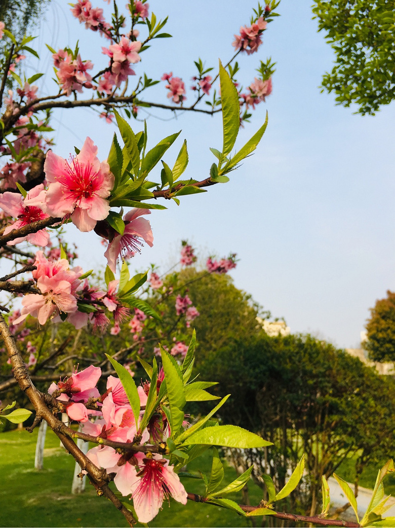 #����ɹ����#�Һ�����