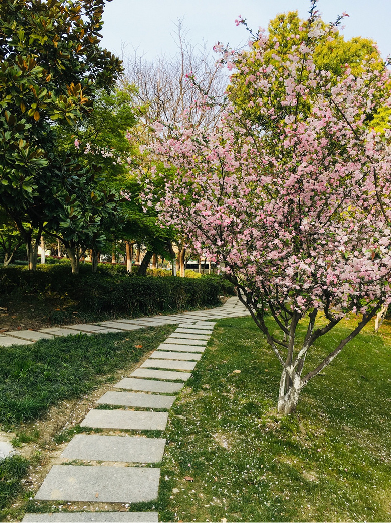 #����ɹ����#�Һ�����