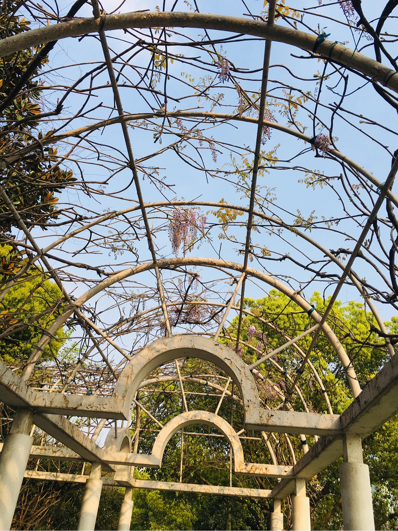 #����ɹ����#�Һ�����