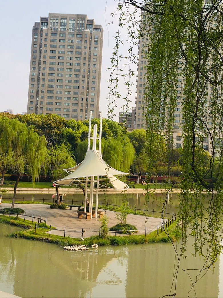 #����ɹ����#�Һ�����