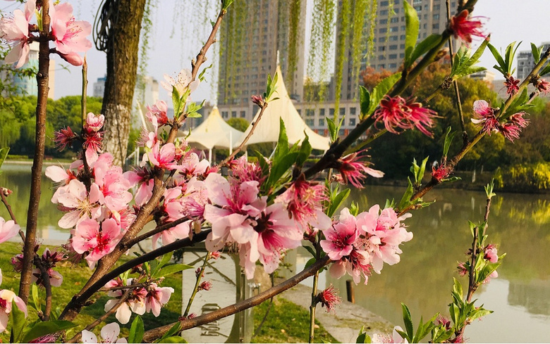 #����ɹ����#�Һ�����