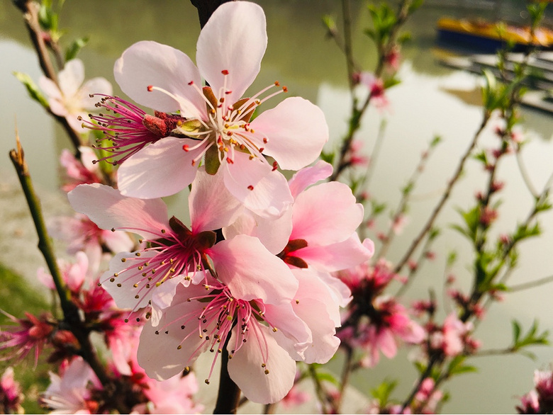 #����ɹ����#�Һ�����