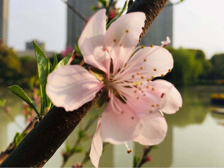 #����ɹ����#�Һ�����