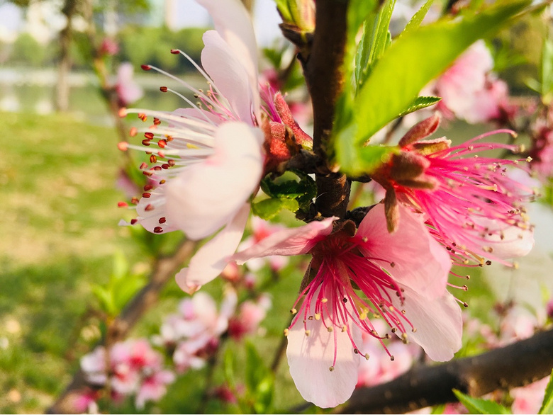 #����ɹ����#�Һ�����