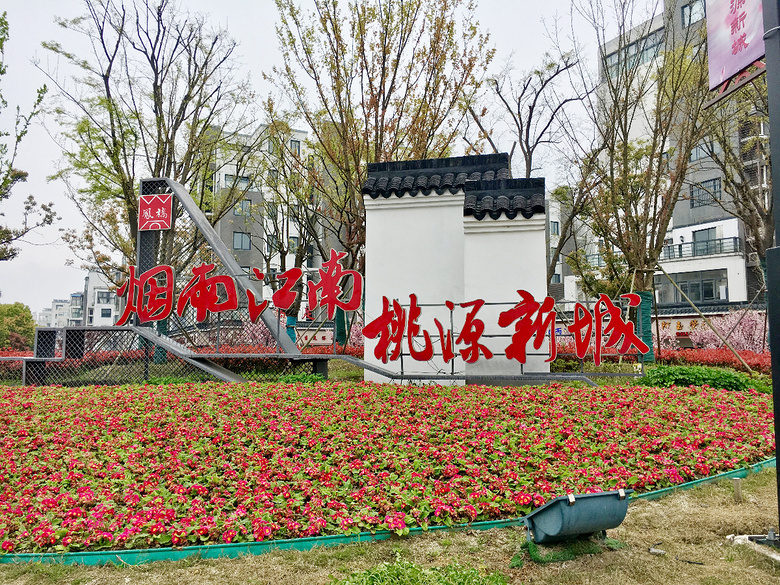 55平方公里的嘉兴高铁新城呼之欲出!这个小镇一下子火了!