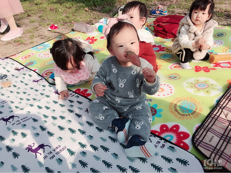 【带娃一起去春游】+集体活动更欢脱