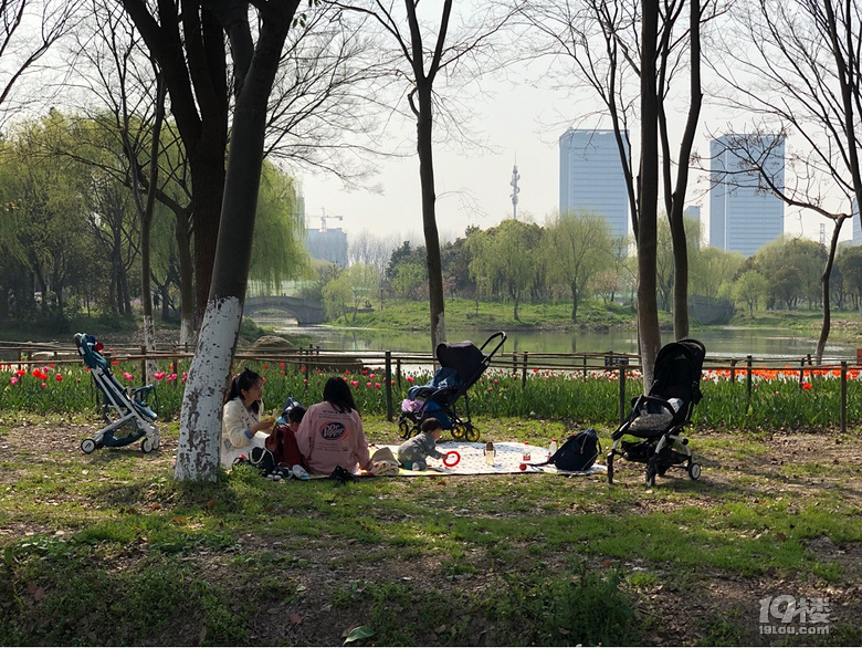 【带娃一起去春游】+集体活动更欢脱
